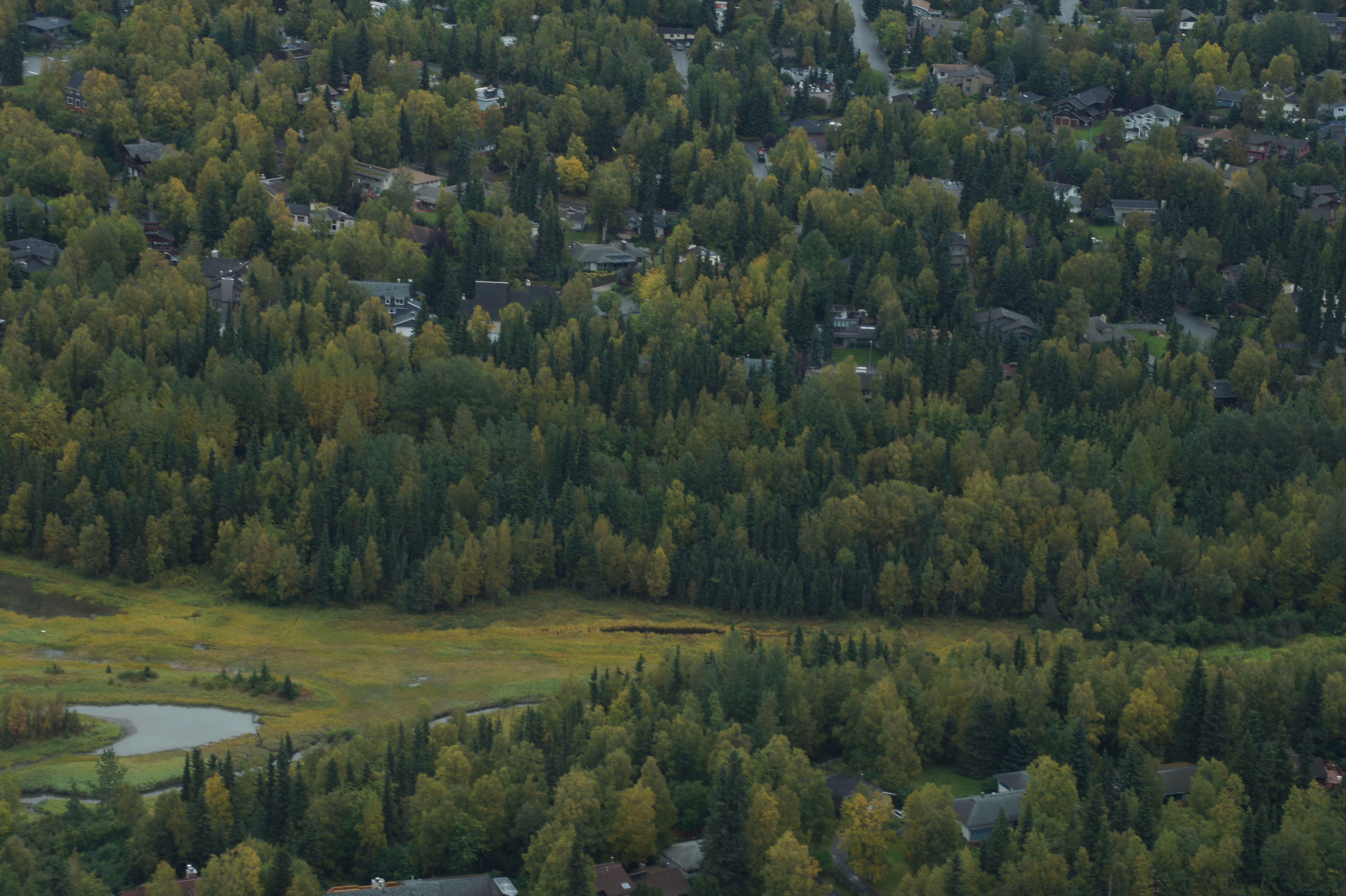 Click to return to the thumbnail index